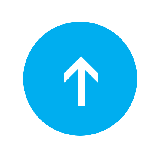 Scroll To Top